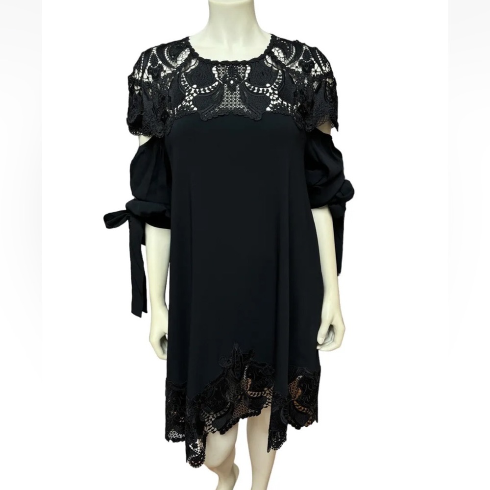 Jonathan Simkhai Women’s Sz 8 Black Lace Shift Long Sleeve Mini Dress